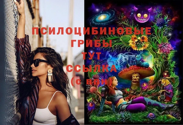 дживик Волоколамск