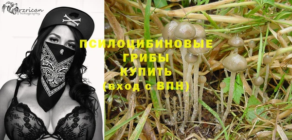 дживик Волоколамск