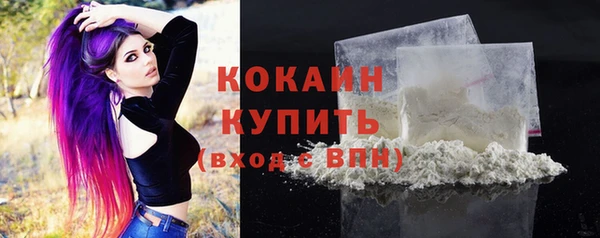 дживик Волоколамск